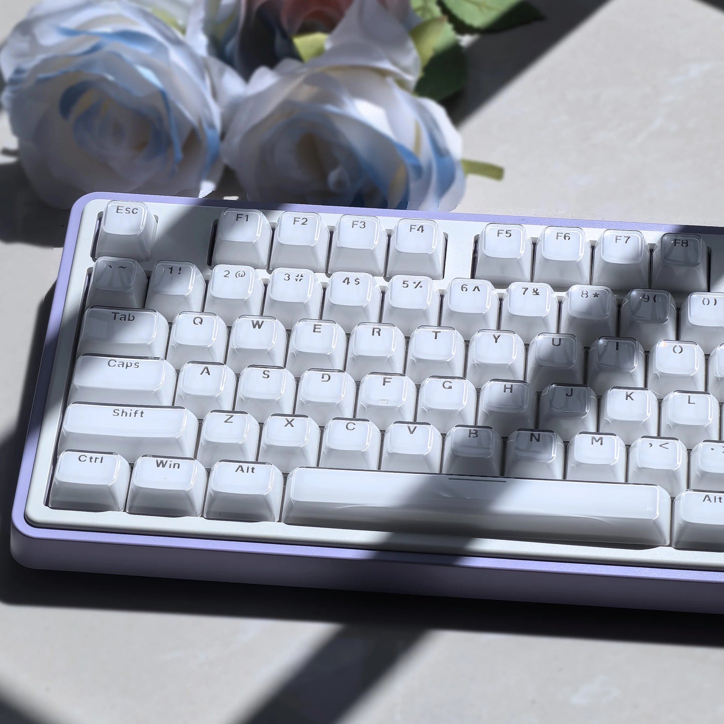 OEM Profile Jelly Theme PC+ABS Keycap Set - Keebookeys