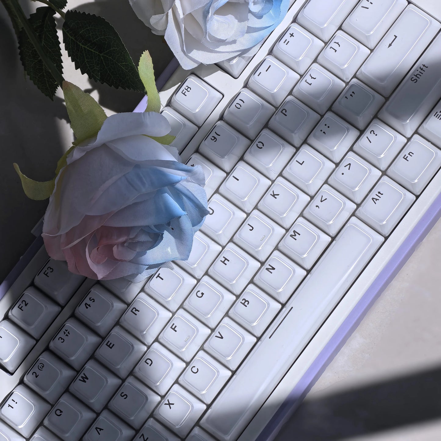 OEM Profile Jelly Theme PC+ABS Keycap Set - Keebookeys