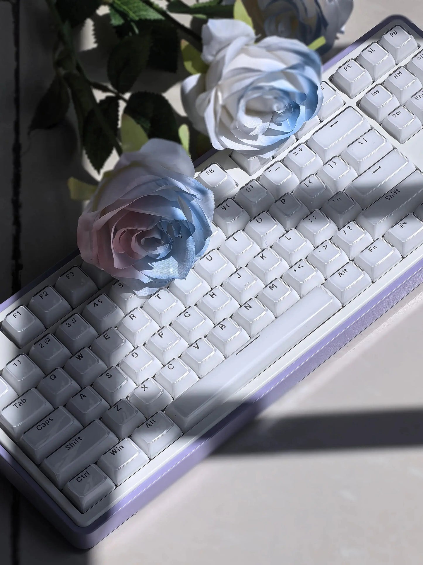 OEM Profile Jelly Theme PC+ABS Keycap Set - Keebookeys