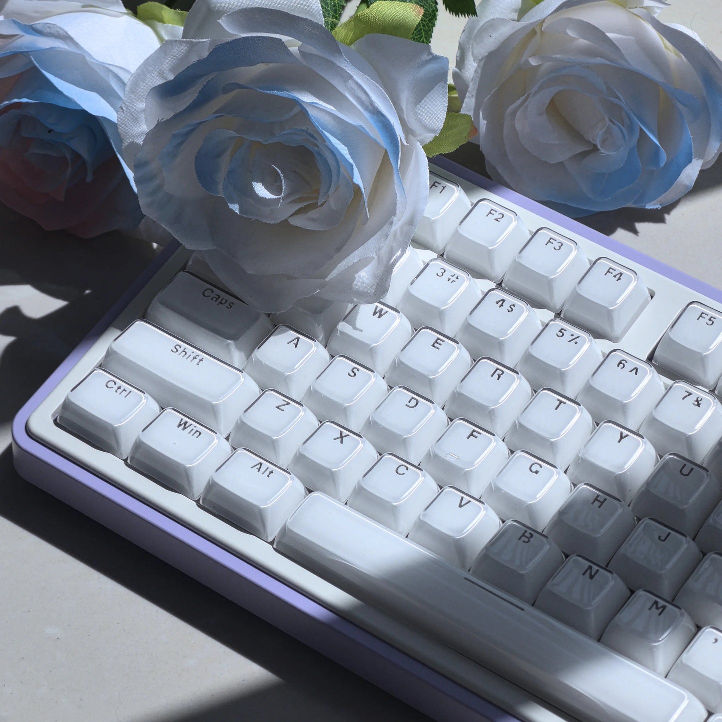 OEM Profile Jelly Theme PC+ABS Keycap Set - Keebookeys