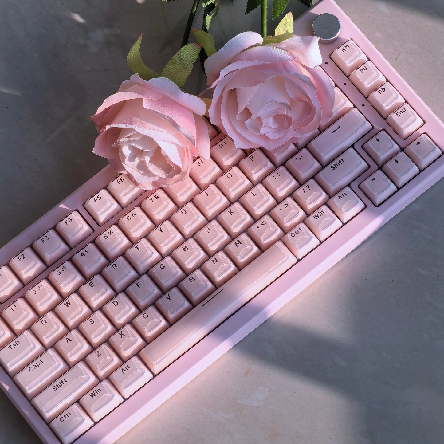 OEM Profile Jelly Theme PC+ABS Keycap Set - Keebookeys