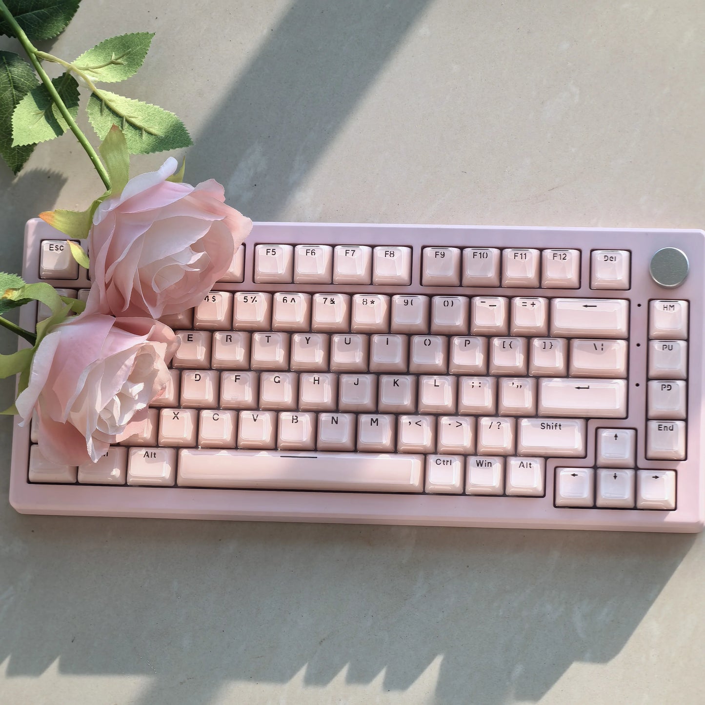 OEM Profile Jelly Theme PC+ABS Keycap Set - Keebookeys