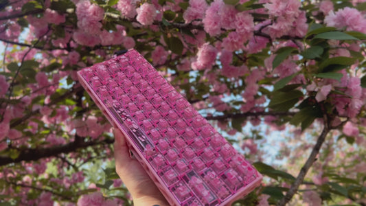 Sakura Pink Cat Keycaps