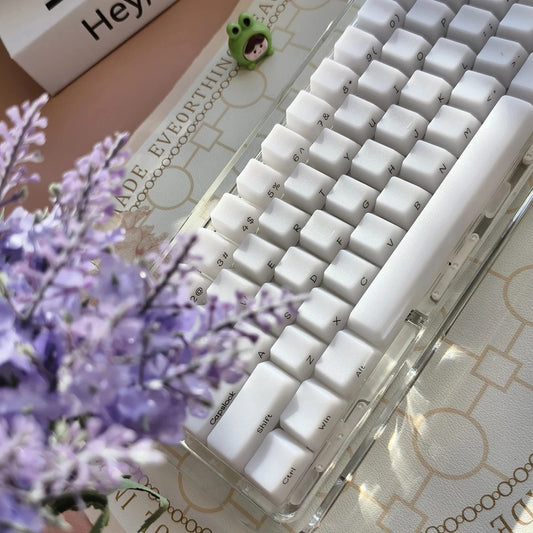 130 Keys OEM Profile Transparent Fog Theme PBT Keycaps - Keebookeys